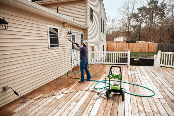Best Pressure Washing Siding  in Annandale, MN