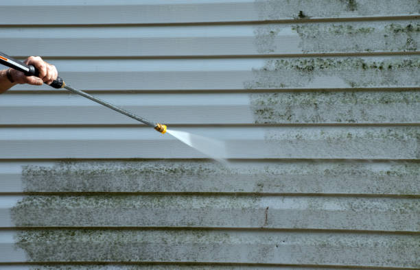 Best Garage Pressure Washing  in Annandale, MN