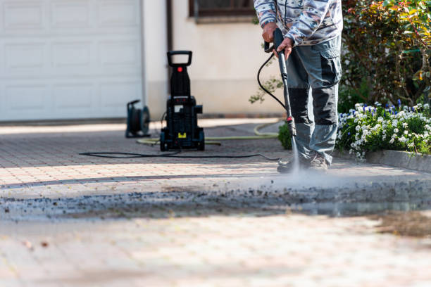 Best Pressure Washing Cost  in Annandale, MN