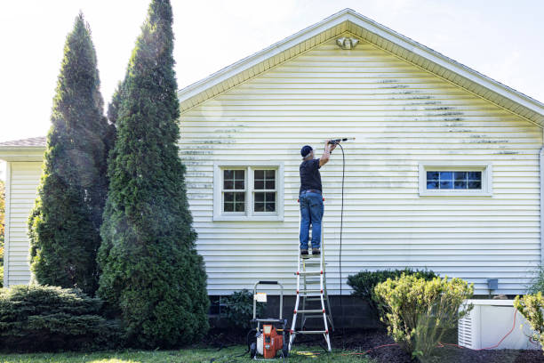 Roof Power Washing Services in Annandale, MN