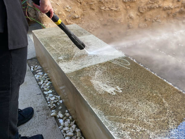 Best Sidewalk Pressure Washing  in Annandale, MN