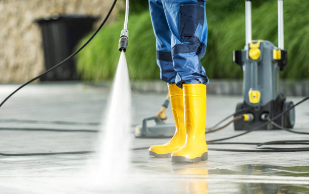 Best Affordable Power Washing  in Annandale, MN