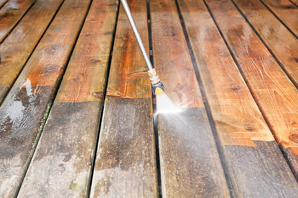 Best Deck Cleaning Services  in Annandale, MN